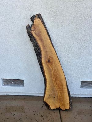 Beautiful Olive slab! PLEASE READ DESCRIPTION!