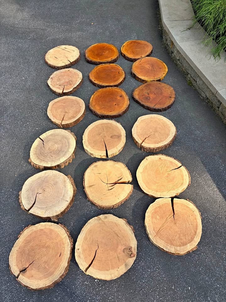 Natural Wood Slices Log Rounds