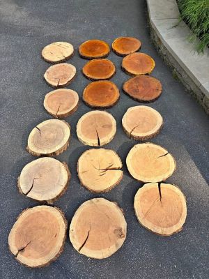 Natural Wood Slices Log Rounds