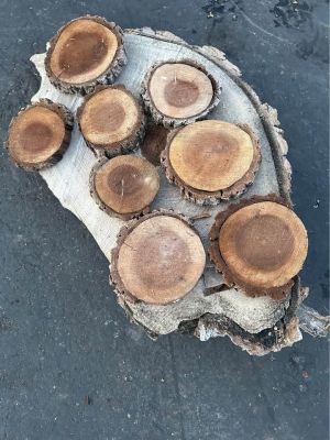 Live Edge Walnut Wood Cookie Rounds $2 each