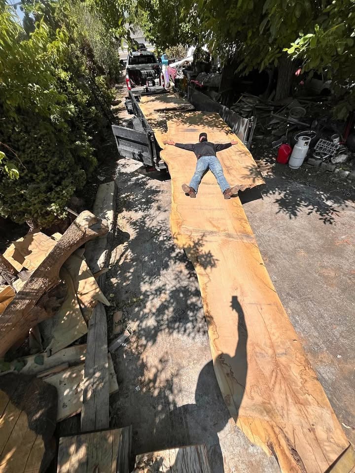 Extra large white oak slab