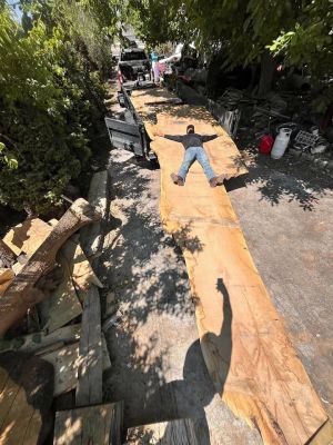 Extra large white oak slab