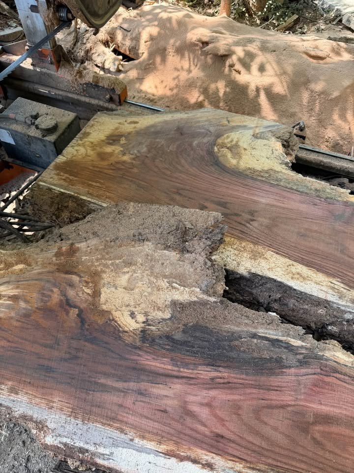 2” live edge slabs - Image 6