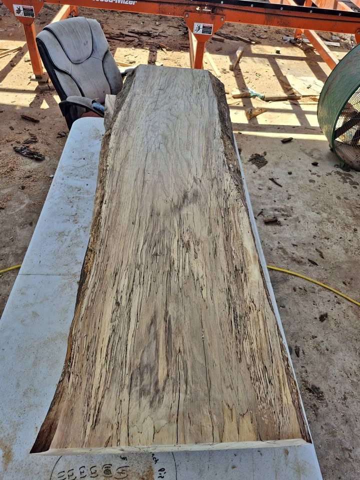 Live edge spalted pecan slab