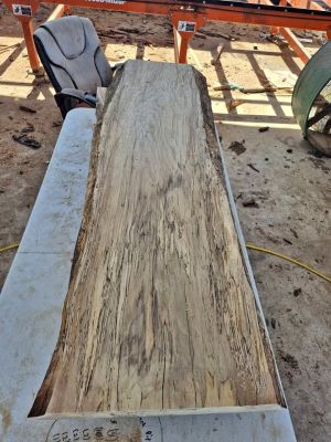Live edge spalted pecan slab