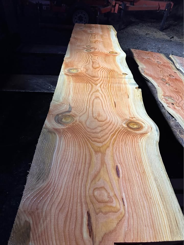 Fir Slab - Image 7