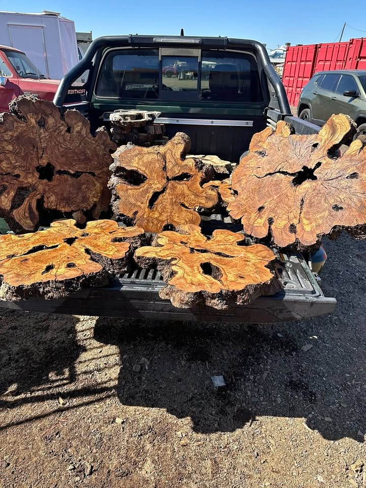 Amazing Olive Wood Burl Cookies $200 Each