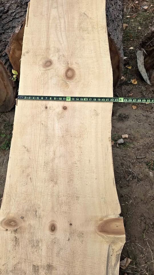 White pine slabs 2 inch - Image 1