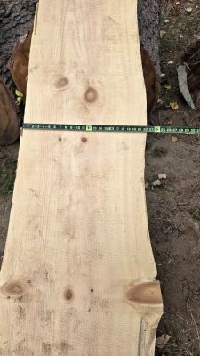 White pine slabs 2 inch