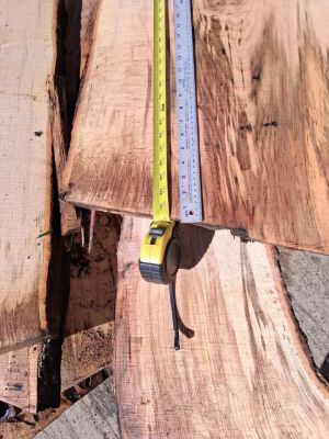 Maple Live Edge Slabs