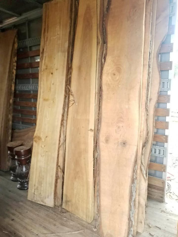 BLACK WALNUT TREES INTO SLABS ALOT IN STOCK