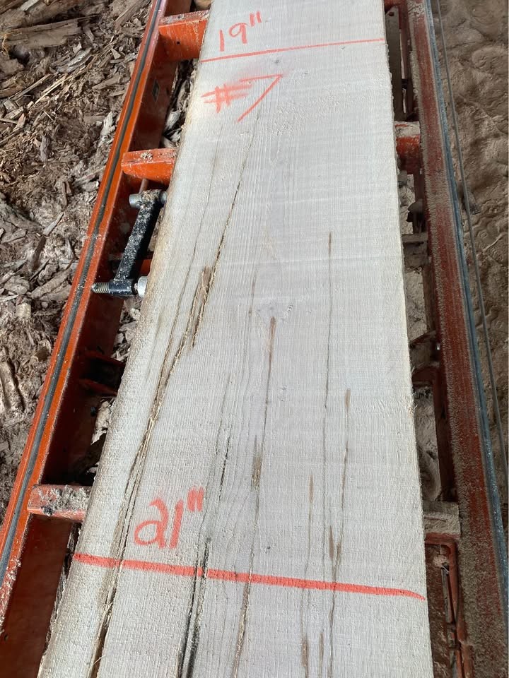 Live edge white oak slabs - Image 8