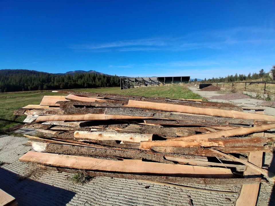 Wood slabs - Image 2