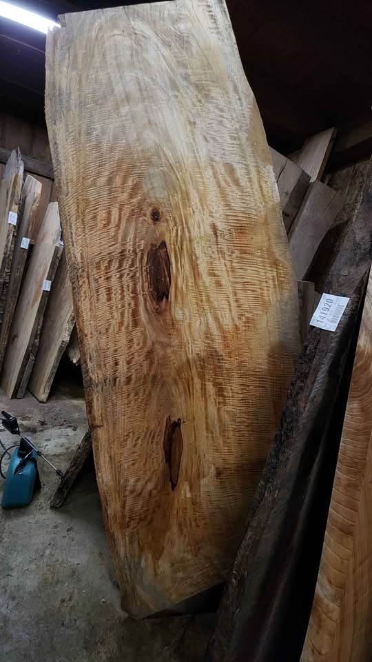 Wood slabs , Vacuum Kiln dried and surfaced flat , 800 fully dried slabs - Image 8