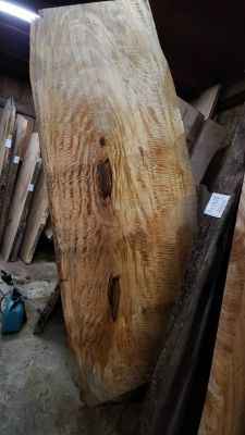 Wood slabs , Vacuum Kiln dried and surfaced flat , 800 fully dried slabs