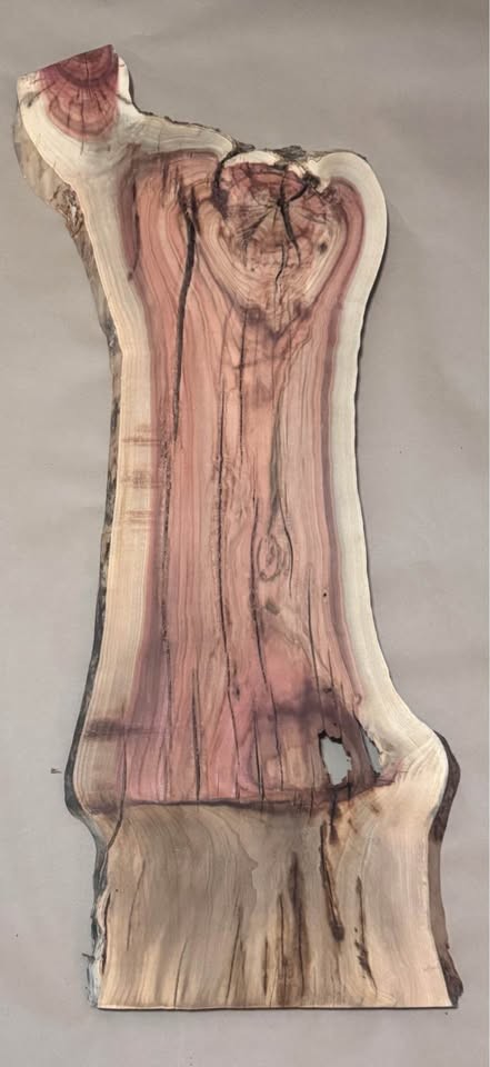 Pistachio Live-Edge Slab — Rare Graft Wood — $70 + shipping - Image 2