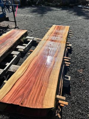 Sequoia Slabs