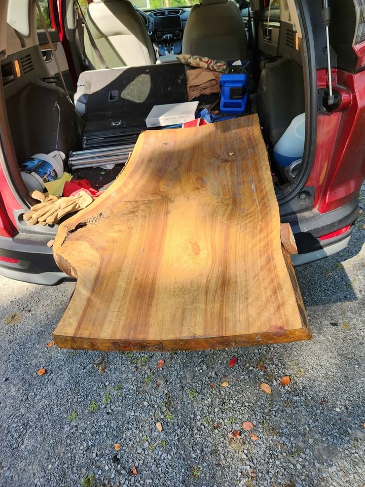 Live Edge Wood Slab - Image 2