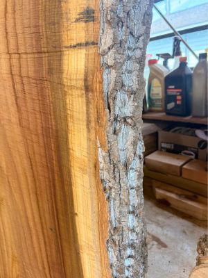 Poplar wood slab