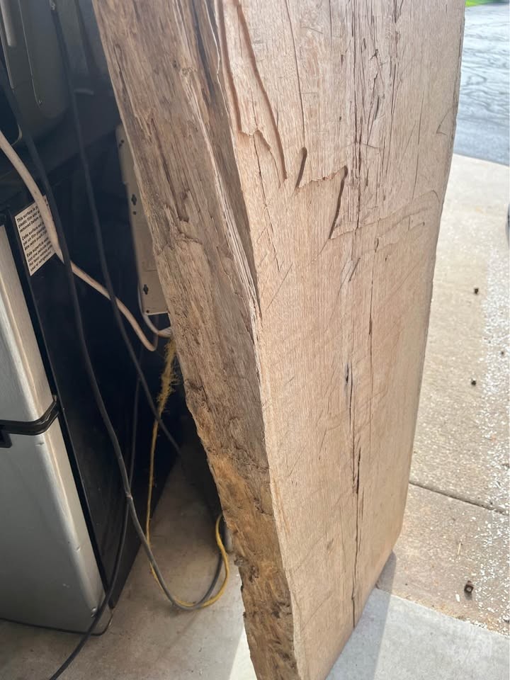 Live edge oak slab for your project - Image 4