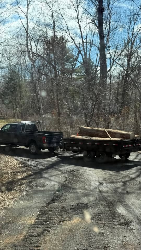 Log For Slabs - Image 6