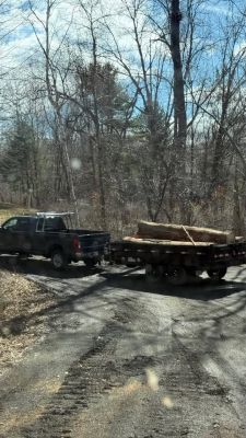 Log For Slabs