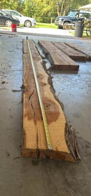 3” thick slabs of Cedar
