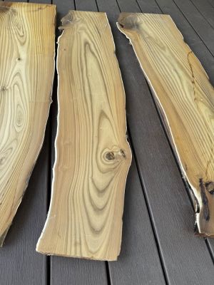 Live Edge Wood Slabs