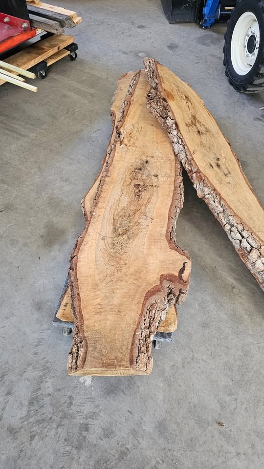 Oak slabs - Image 2