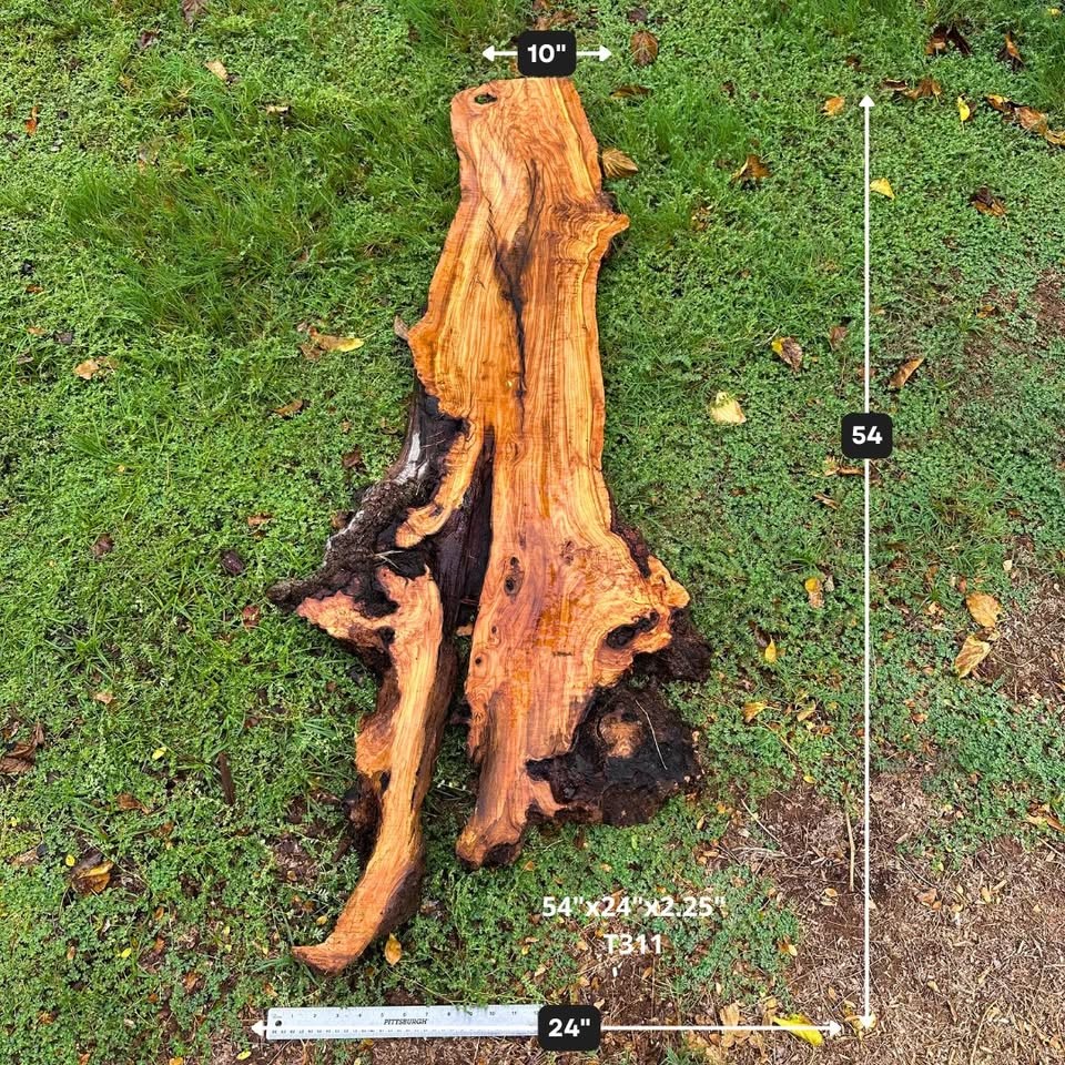 Large Live Edge Olive Wood Slabs for Tables, Resin Epoxy, Coffee Tables - Image 7