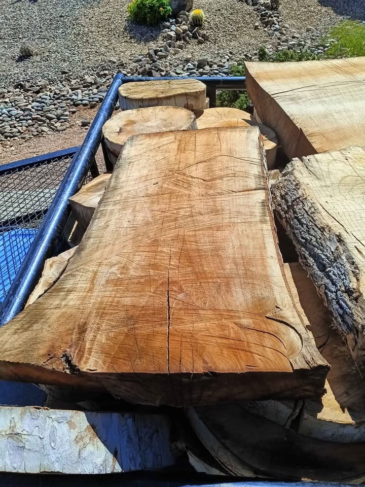 Trailer full of Sycamore sun dried slabs&rounds - Image 4