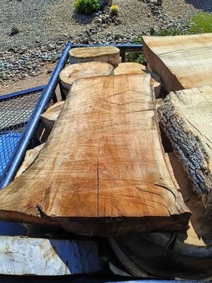 Trailer full of Sycamore sun dried slabs&rounds