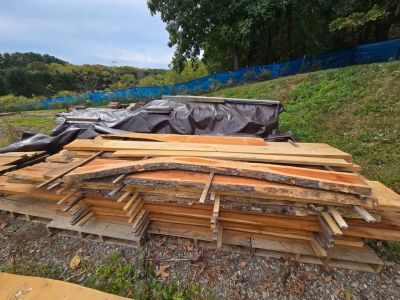 Live edge wood slabs and beams