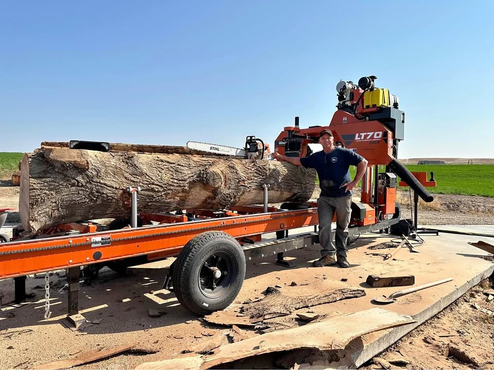 LIVE EDGE WOOD SLABS OAK, MAPLE, ELM, WALNUT, SAWMILLING W/ WOODMIZER SUPER 70 SAWMILL - Image 1