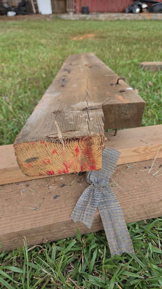 Old "RED WOOD" - Image 2