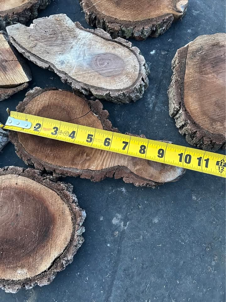 Live Edge Walnut Wood Cookie Rounds $2 each - Image 6