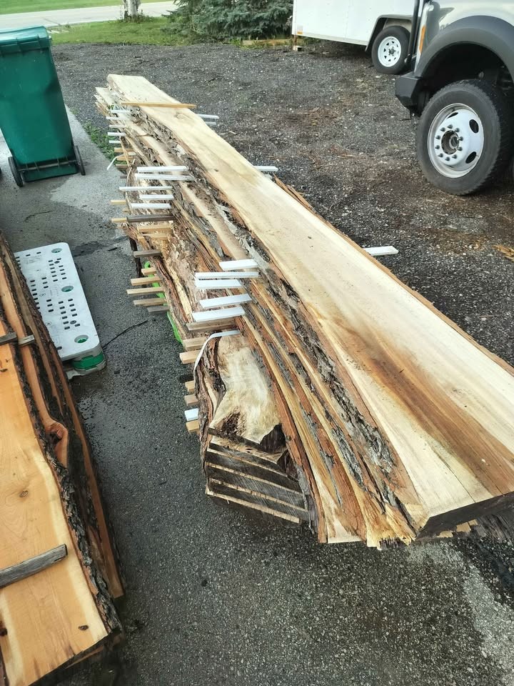 Live edge slabs - Image 5
