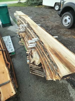 Live edge slabs