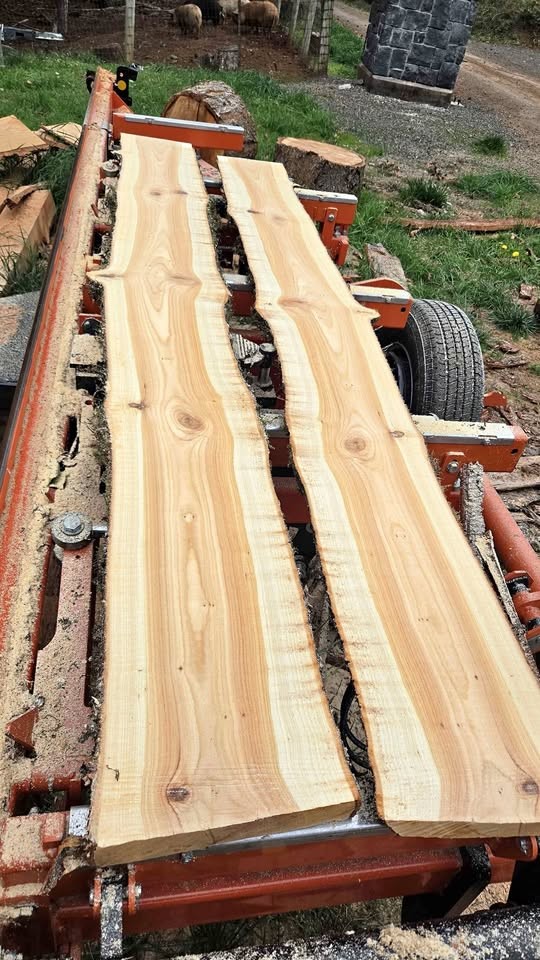 Live edge wood slabs - Image 1