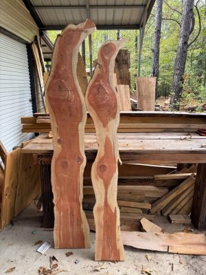 Unique cedar slabs