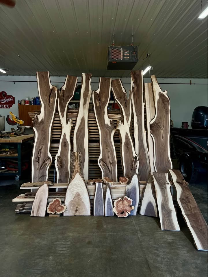 Walnut / Ash / Cedar -Hobby Wood - Image 6
