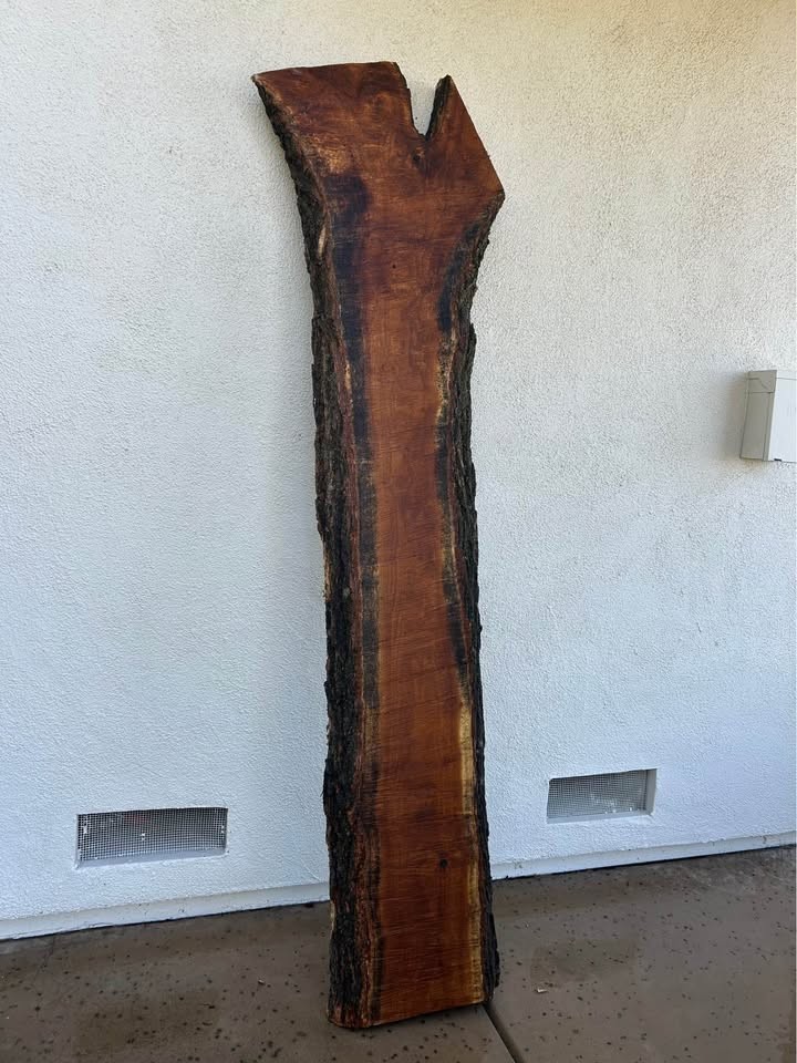 Dark red Hardwood Mulberry slab! 2.5inches thick! PLEASE READ DESCRIPTION! - Image 2