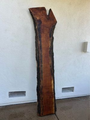 Dark red Hardwood Mulberry slab! 2.5inches thick! PLEASE READ DESCRIPTION!
