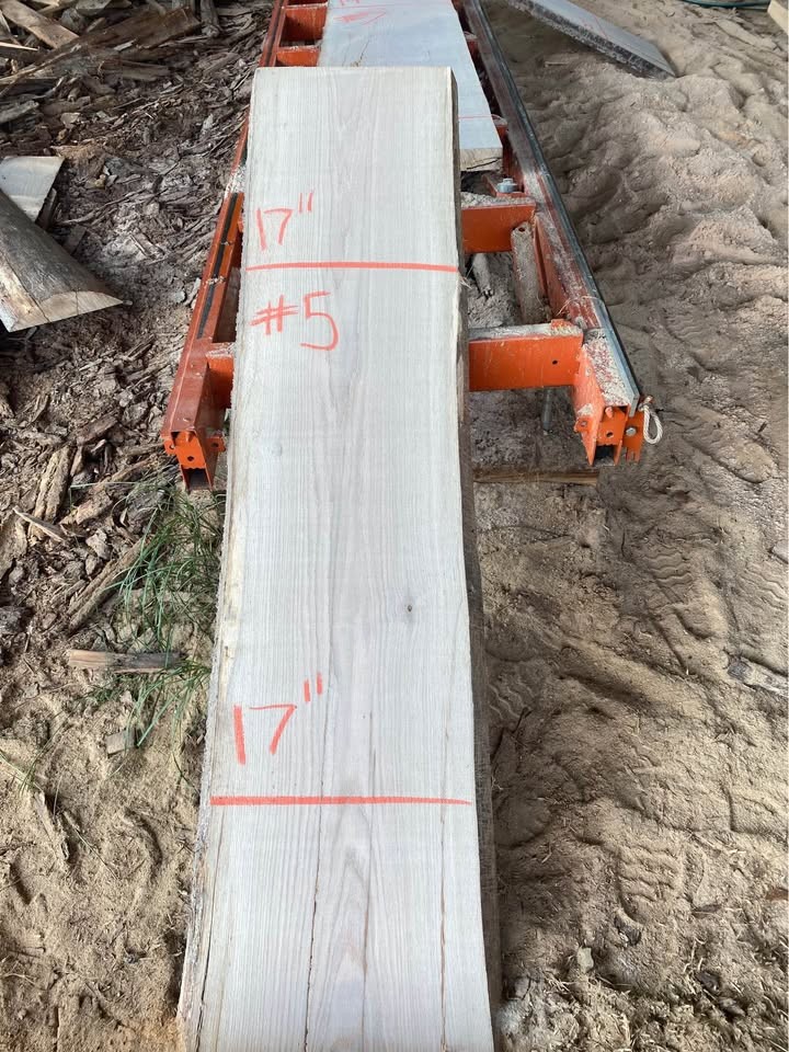 Live edge white oak slabs - Image 6