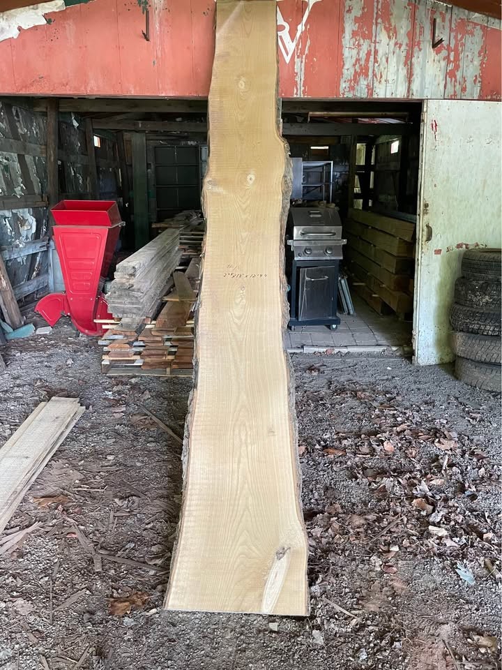 Pa. Walnut - Image 3