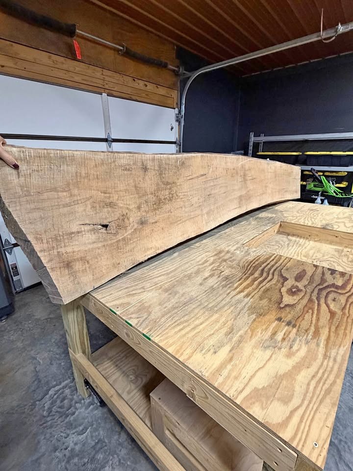 Live Edge Wood Slab - Image 1