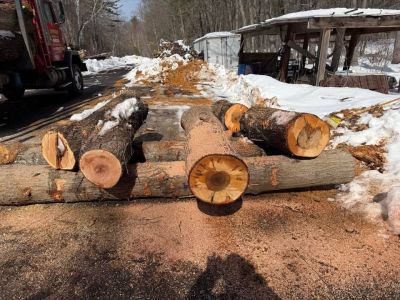 Log For Slabs