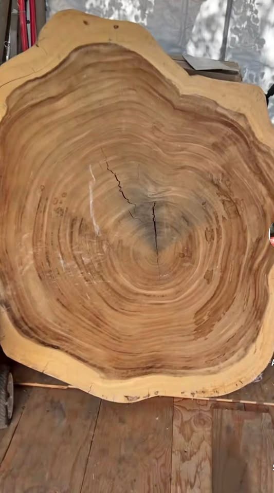 ???? Large Natural Wood Slab – Perfect for a Table or DIY Project