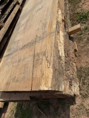 White Oak Slabs