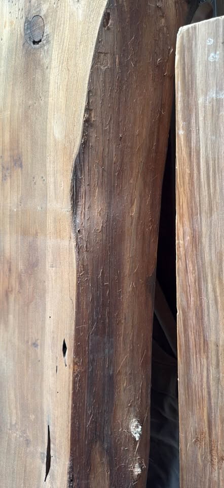 Large Redwood Live Edge Slab – 92” x 24” x 2.75” Thick - Image 2